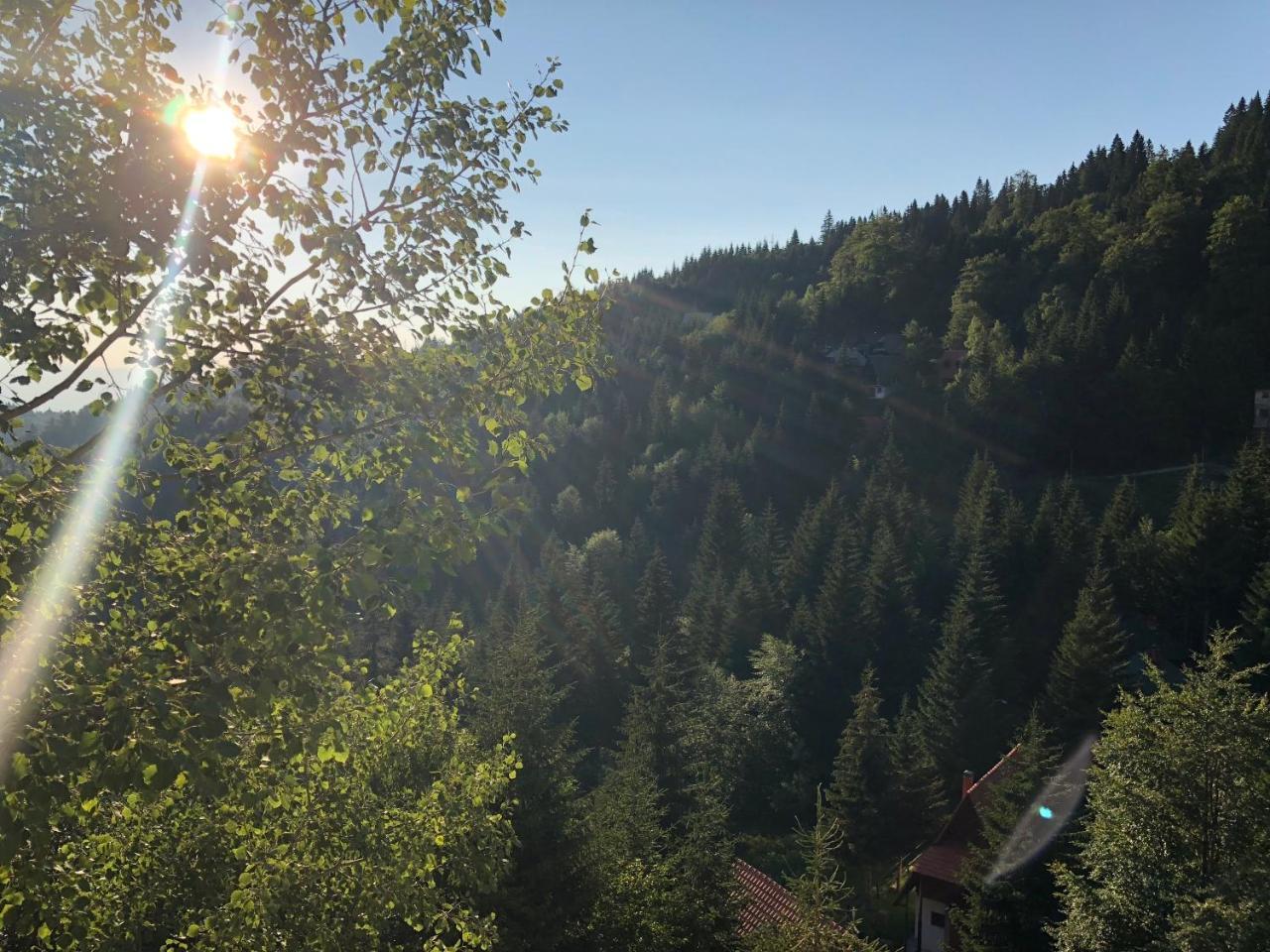 Stara Bacija Lägenhet Kopaonik Exteriör bild