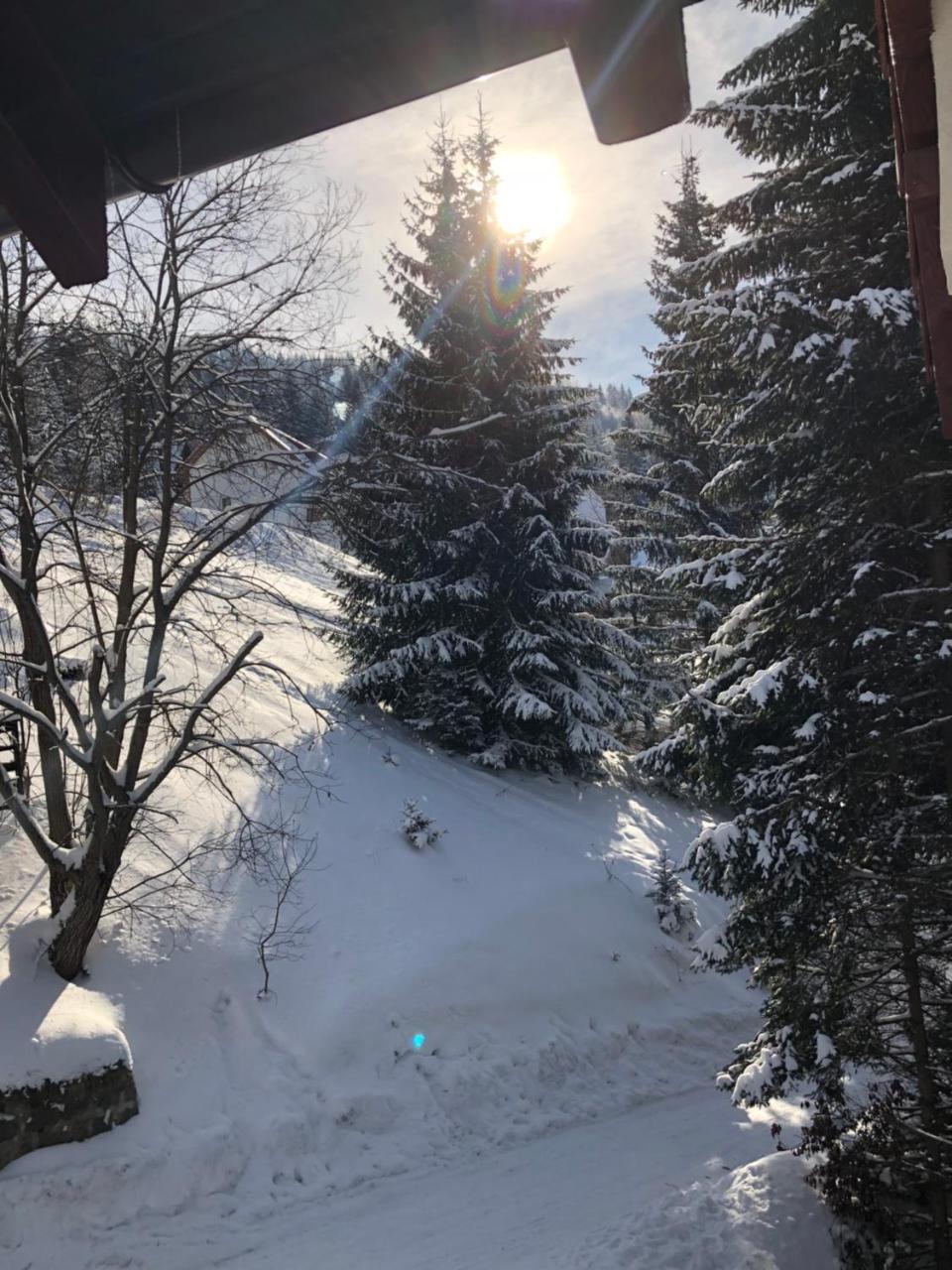 Stara Bacija Lägenhet Kopaonik Exteriör bild