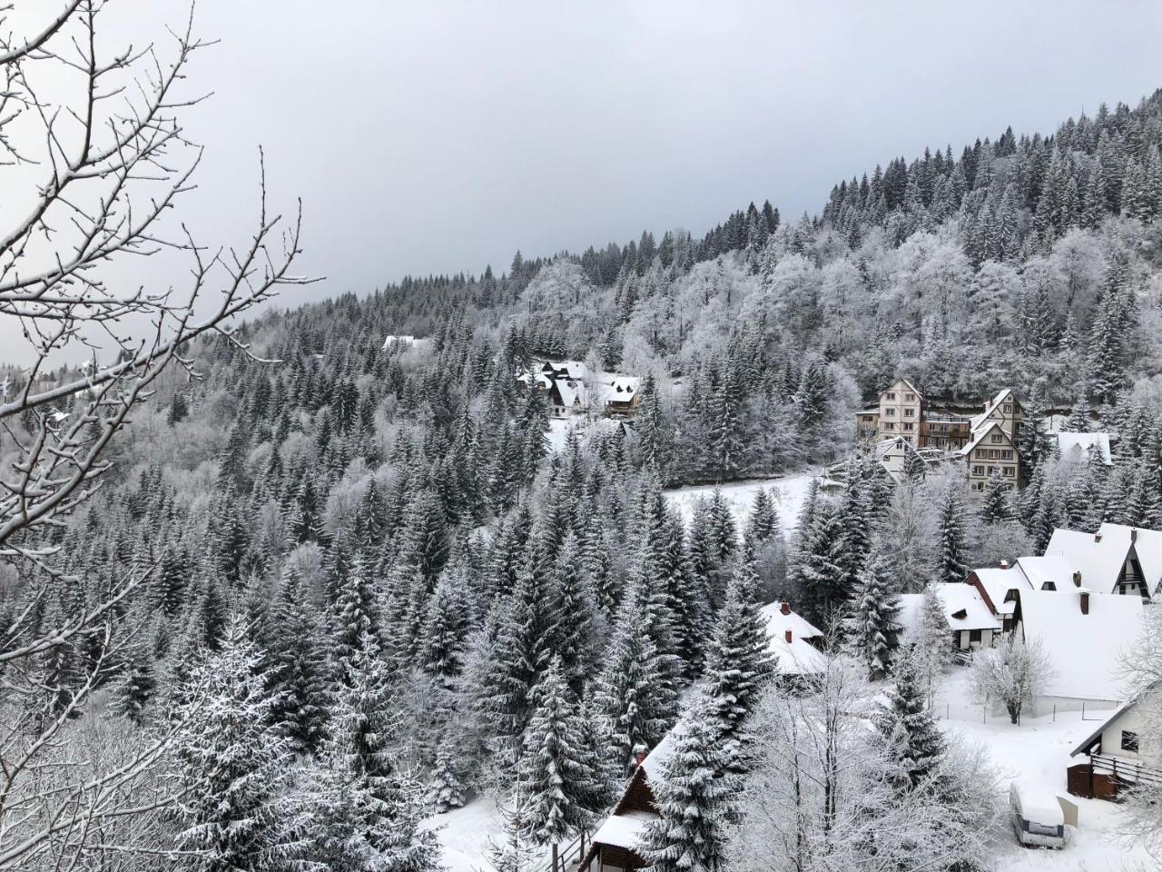 Stara Bacija Lägenhet Kopaonik Exteriör bild