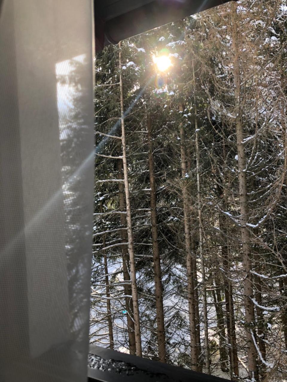 Stara Bacija Lägenhet Kopaonik Exteriör bild