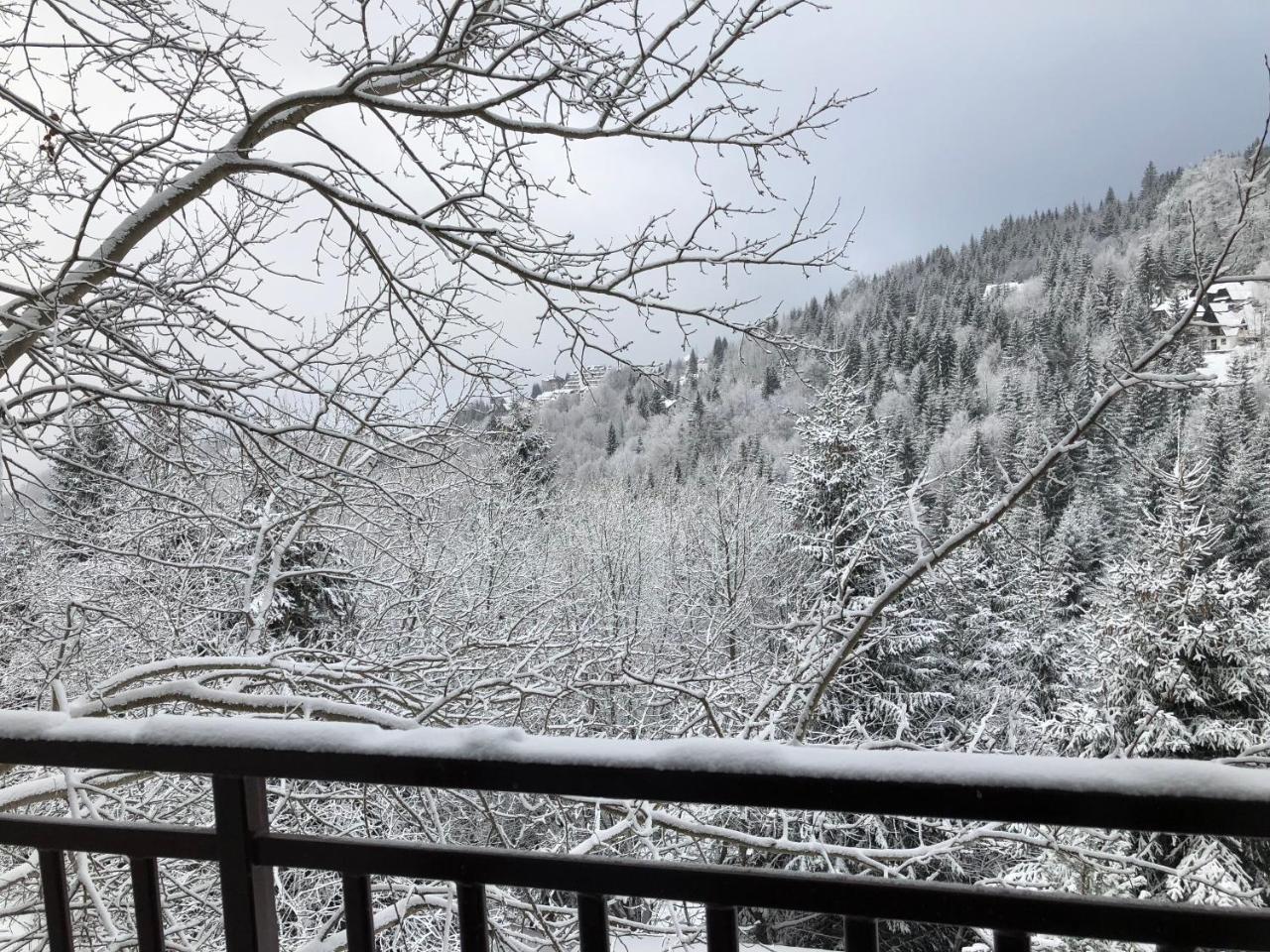 Stara Bacija Lägenhet Kopaonik Exteriör bild